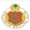 Ballymena A logo