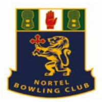 Nortel V1 logo