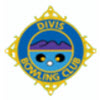 Divis V1 logo