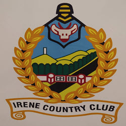 Ierne logo