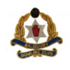 Salisbury Eagles IV1 logo